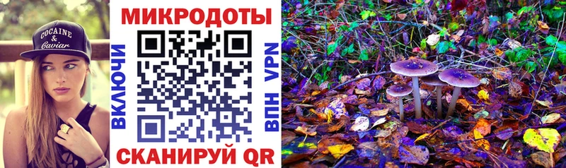 Псилоцибиновые грибы Psilocybine cubensis  OMG как зайти  Коломна 