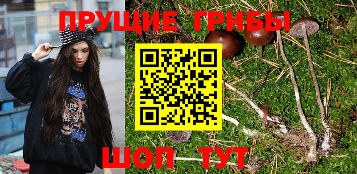 Коломна  купить  цена  Вход с VPN  Псилоцибиновые грибы MAGIC MUSHROOMS 