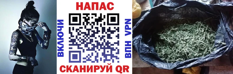 мега как зайти Коломна Каннабис SATIVA & INDICA закладка